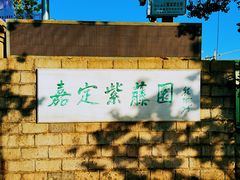 -嘉定紫藤园