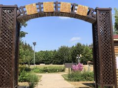 -上海长兴岛郊野公园