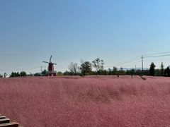 -羊亭河湿地公园