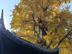 -无锡惠山寺