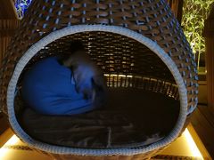 -蓝鲸湾汤泉(包河店)