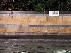-深圳星河丽思卡尔顿酒店