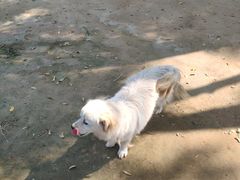 -意大利农场度假村