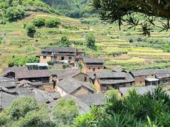 -杨家堂村