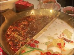 -九鼎轩脆毛肚火锅(三钢里店)