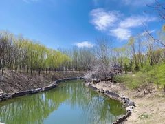 -大兴滨河森林公园