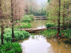 -云溪植物园