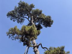 -沈阳市东陵公园