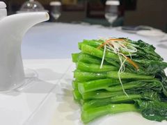 -云境生态园(高新旗舰店)