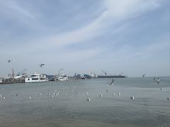 -海驴岛(荣成市)