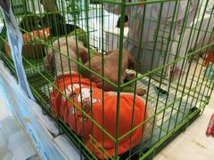 -万达广场(龙湖店)