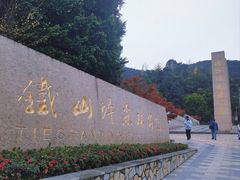 -铁山坪森林公园