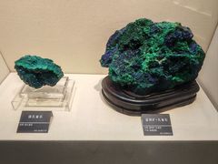 -安徽省地质博物馆