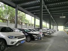 -上海植物园·停车场