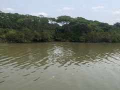 -东寨港红树林旅游区