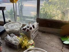 -马陆小张葡萄园农家乐