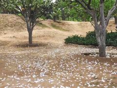 -元大都城垣遗址公园