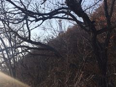 -狼牙山风景区