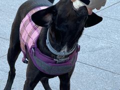 -小意思咖啡店(草桥店)