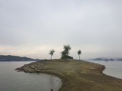 -几荷·恰似故人来(秀水广场店)