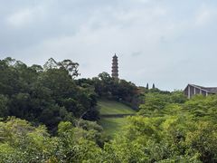-广州莲花山旅游区