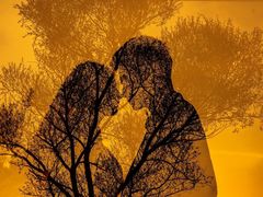 -经典婚纱摄影美学馆·私人定制