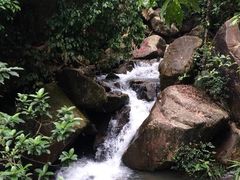 -四会奇石河风景区