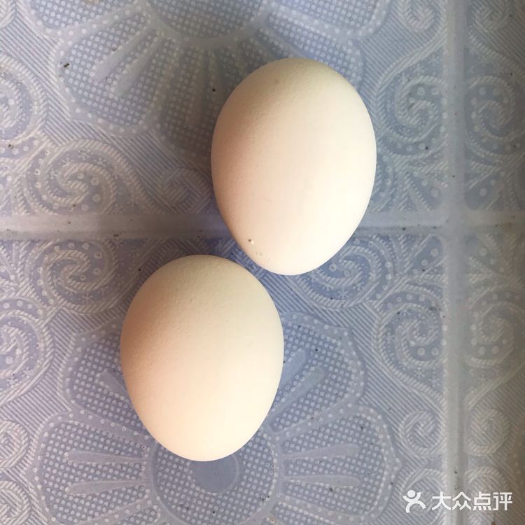 金羊阿爹家宴之美味煎鸡蛋