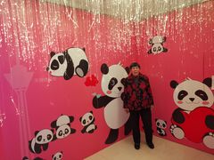 -339旋转餐厅(天府熊猫塔店)