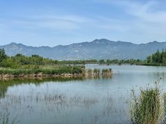 -野鸭湖国家湿地公园