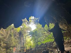 -怀托摩萤火虫洞