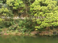 -黔灵山公园-南门售票处