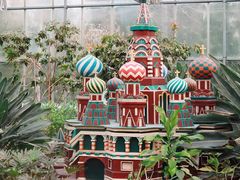 -南宫五洲植物乐园