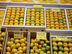 -西归浦每天偶来市场