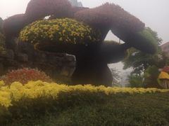 iphone_upload_pic-迎泽公园