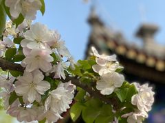 -大钟寺古钟博物馆
