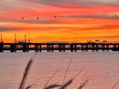 -宝安西湾红树林湿地公园