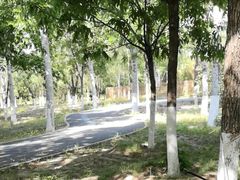 -永定河休闲森林公园