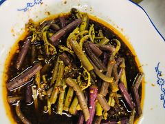 野蕨菜-好地方花椒鸡