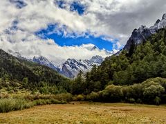 -稻城亚丁景区-冲古草甸