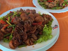 -凤百年大骨鸡饭庄