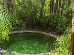 -碧桂园润杨溪谷温泉酒店