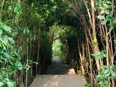 -上海月湖雕塑公园