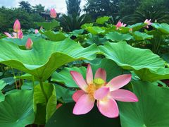 -国家植物园南园