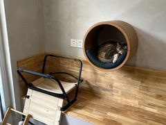 -伟伟宠物医院·CT影像中心·瑞派犬猫综合性门诊(汉口总院)