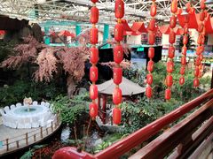 -新世纪绿洲(抚顺店)