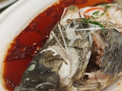 -老洋房花园饭店(绍兴路店)