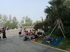 -宝安西湾红树林湿地公园