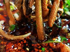 -乐山第一家临江鳝丝(茶坊路店)