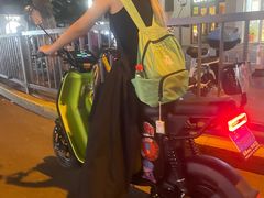-绿源电动车(普陀专卖店)